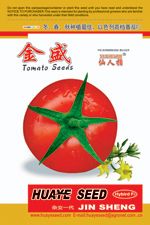 供应金盛—番茄种子