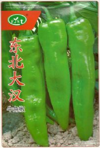 供应东北大汉——辣椒种子