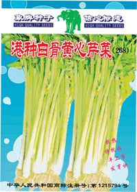 港种白骨黄心芹菜(268)特别种——黄心芹菜