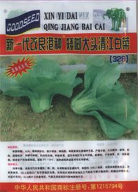 新一代改良港种矮脚大头清江白菜(328)——白菜种子