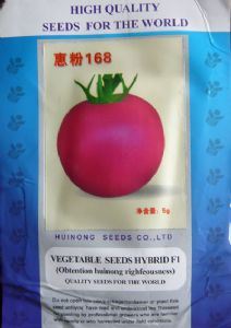 供应惠粉168—番茄种子