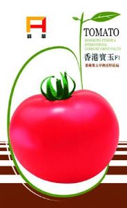 供应宝玉－番茄种子