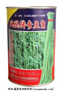 供应凤凰传奇豆角（z3033）—豇豆种子