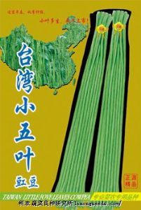 供应【正源】台湾小五叶豇豆（301）—豇豆种子
