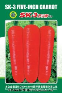 供应SK—3五寸参—胡萝卜种子