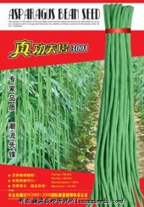 供应【正源】真功夫1号豆角（3001）种子—豇豆种子