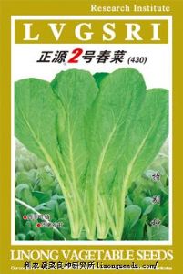 供应【正源】二号春菜（430）—莴苣种子