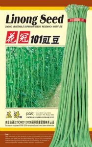 供应【正源】花冠101—豇豆种子