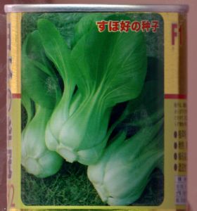 供应日本华冠292F1——青梗菜种子