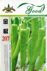 供应金椒207—辣椒种子