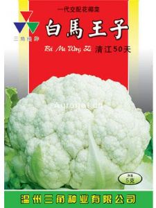 供应白马王子60-清江50天—花椰菜种子