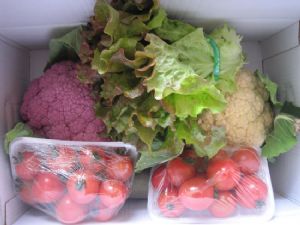 供应蔬菜组合装生菜，花椰菜，番茄