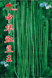 中华豇豆王-豇豆种子