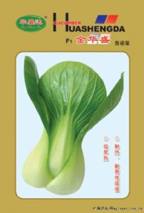供应F1金盛华—青梗菜种子