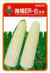 潍糯ER-白玉米种子