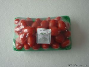 供应无公害樱桃番茄