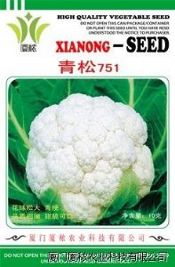供应青松751—青梗松花菜种子