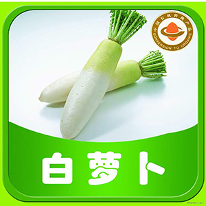 供应有机蔬菜-白萝卜