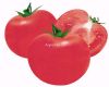 供应粉春—番茄种子