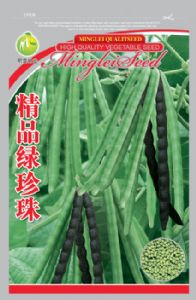 供应精品绿珍珠—菜豆种子
