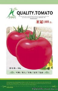 供应圣冠108—番茄种子