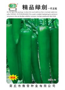 供应精品绿剑—青椒
