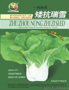 供应矮抗瑞雪—白菜种子