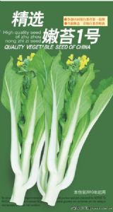 供应精选嫩苔1号－白菜菜苔种子