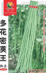 供应台湾多花密荚王—豇豆种子