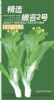 供应精选嫩苔2号－白菜菜苔种子