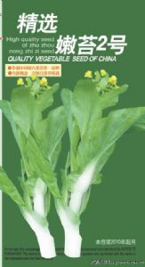 供应精选嫩苔2号－白菜菜苔种子