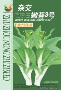 供应杂交嫩苔3号－白菜菜苔种子