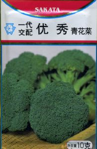 西蓝花种子——优秀青花菜