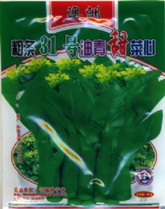 菜心种子——粗条31号油青甜菜心