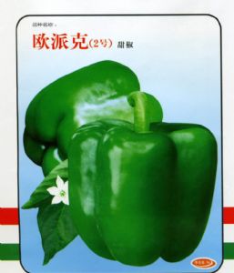 甜椒种子——欧派克（2号）甜椒