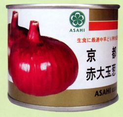 洋葱种子——京都赤大玉葱