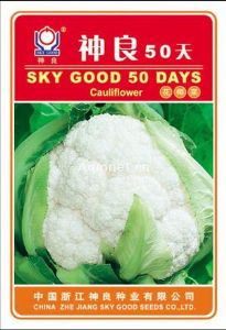 供应神良50天—花椰菜种子