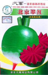 供应北京翠红-萝卜种子
