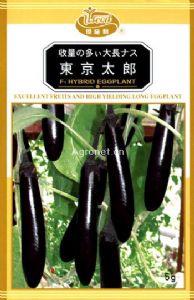 供应东京太郎－茄子种子