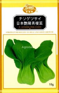 供应日本艳阳—青梗菜种子