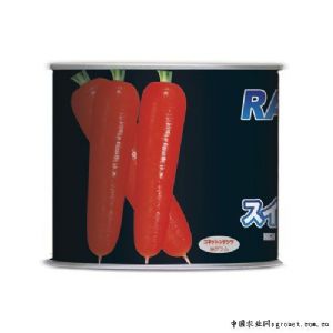 供应80克日本进口杂交布瑞德—胡萝卜种子