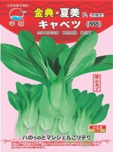 供应金典·夏美—青梗菜种子