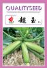 供应超玉—西葫芦种子