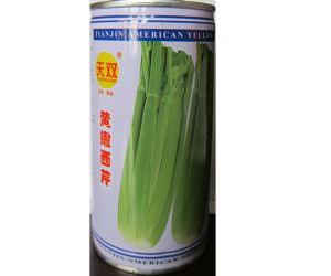 供应黄嫩西芹—芹菜种子