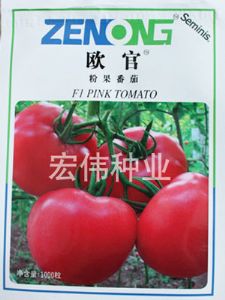 供应欧官 番茄种子