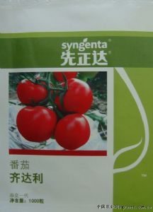 供应齐达利－番茄种子