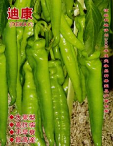 供应迪康（DEKAY）-辣椒种子