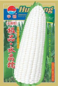 供应极品水晶糯—菜用玉米种子