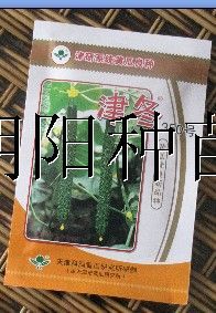 供应津冬350—黄瓜种子
