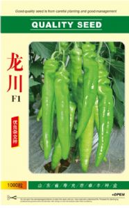 供应龙川-辣椒种子